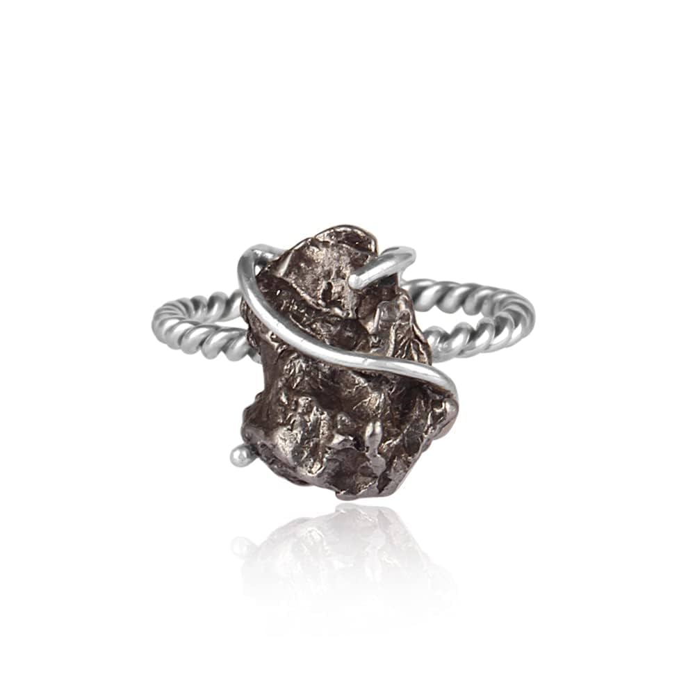 Meteorite entwined ring